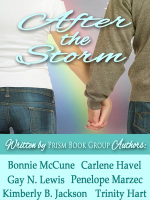 cover image of After the Storm